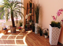 Thai-Massage Ban Chang - Eingangsbereich